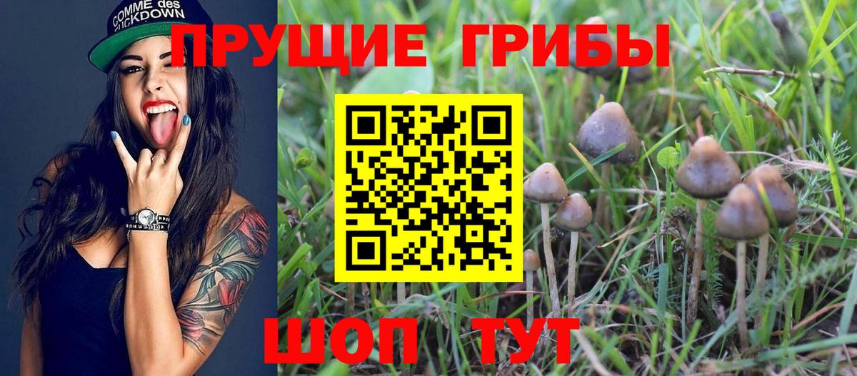 Набережные Челны  наркошоп  Вход с VPN  Галлюциногенные грибы MAGIC MUSHROOMS 